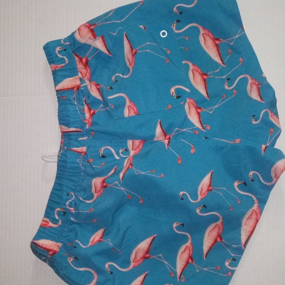 ASOS FLAMINGOS PRINT SWIM SHORT'S - Picture 7 of 11